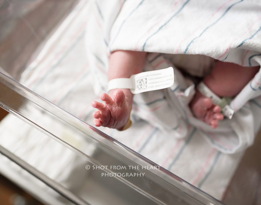 newborn baby feet professional photographer