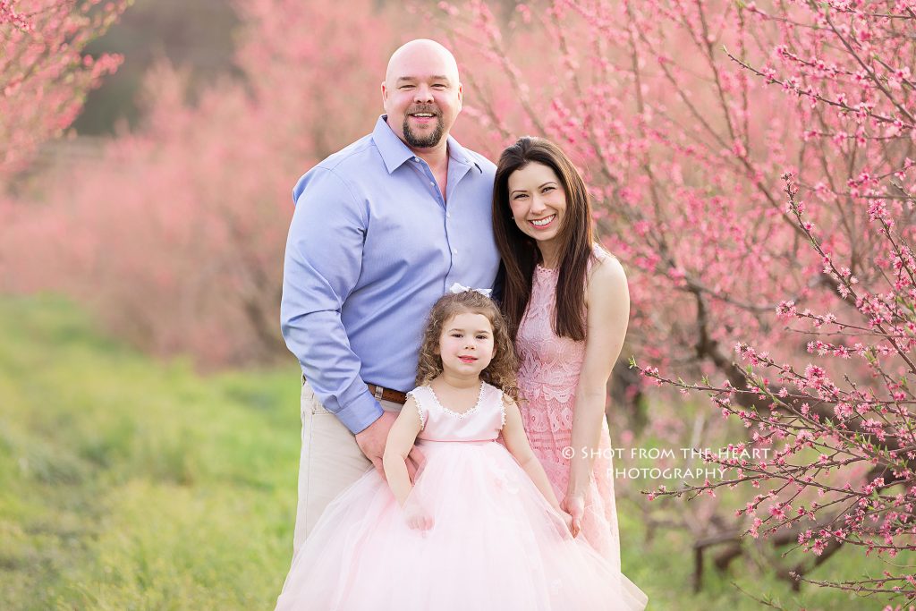 family photography at B.J. Reece Orchards in Ellijay. Peach blossoms blooms Child photographer canton ga