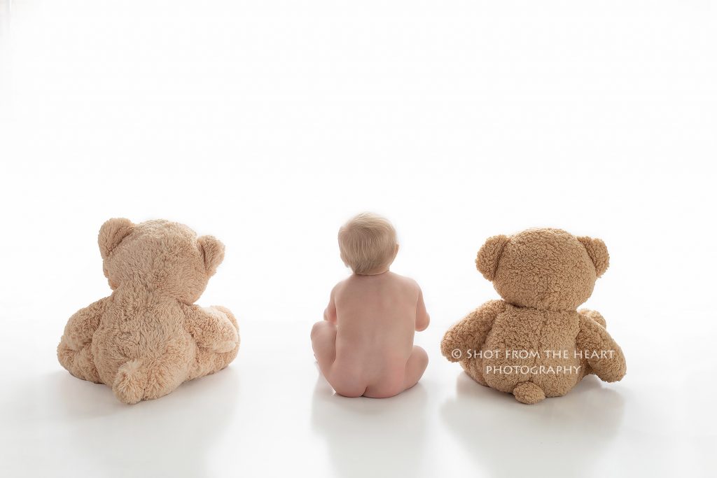 baby with teddy bears backs on white background during first birthday photo shoot