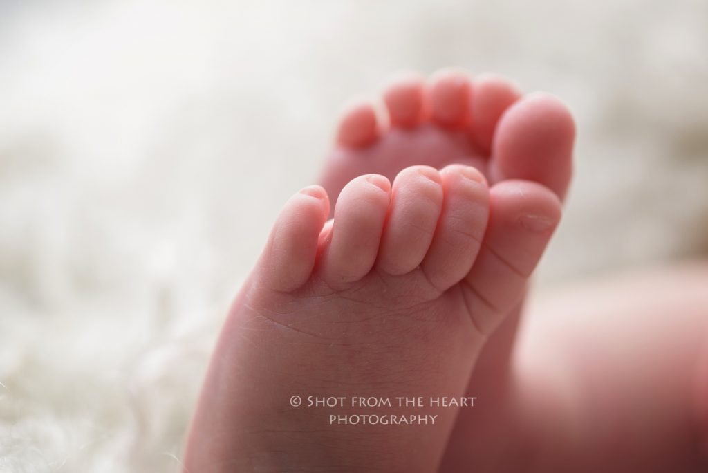 Newborn baby toes detail macro image Alpharetta newborn photographer