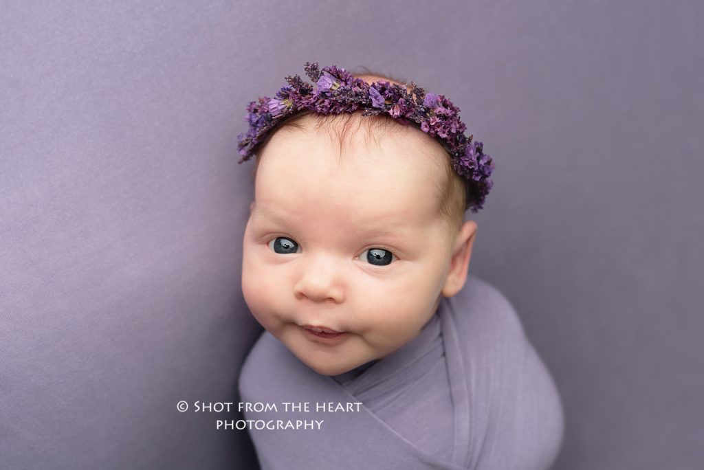 newborn baby photography, awake baby on purple background Alpharetta Georgia