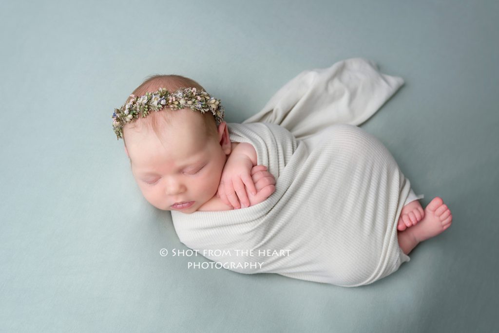 newborn baby girl with dried flower help on light blue background Alpharetta photographer