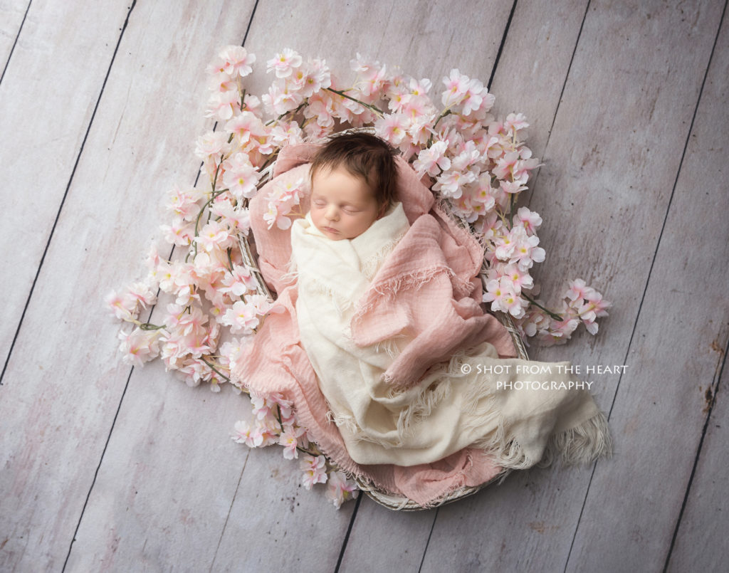 newborn baby photography pink flowers cherry blossom spring simple wood rustic