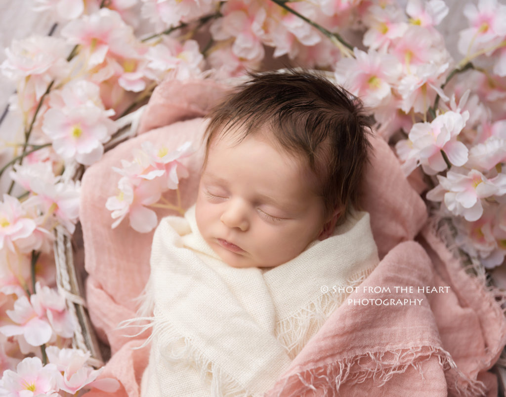 newborn baby picture pink spring flower floral basket