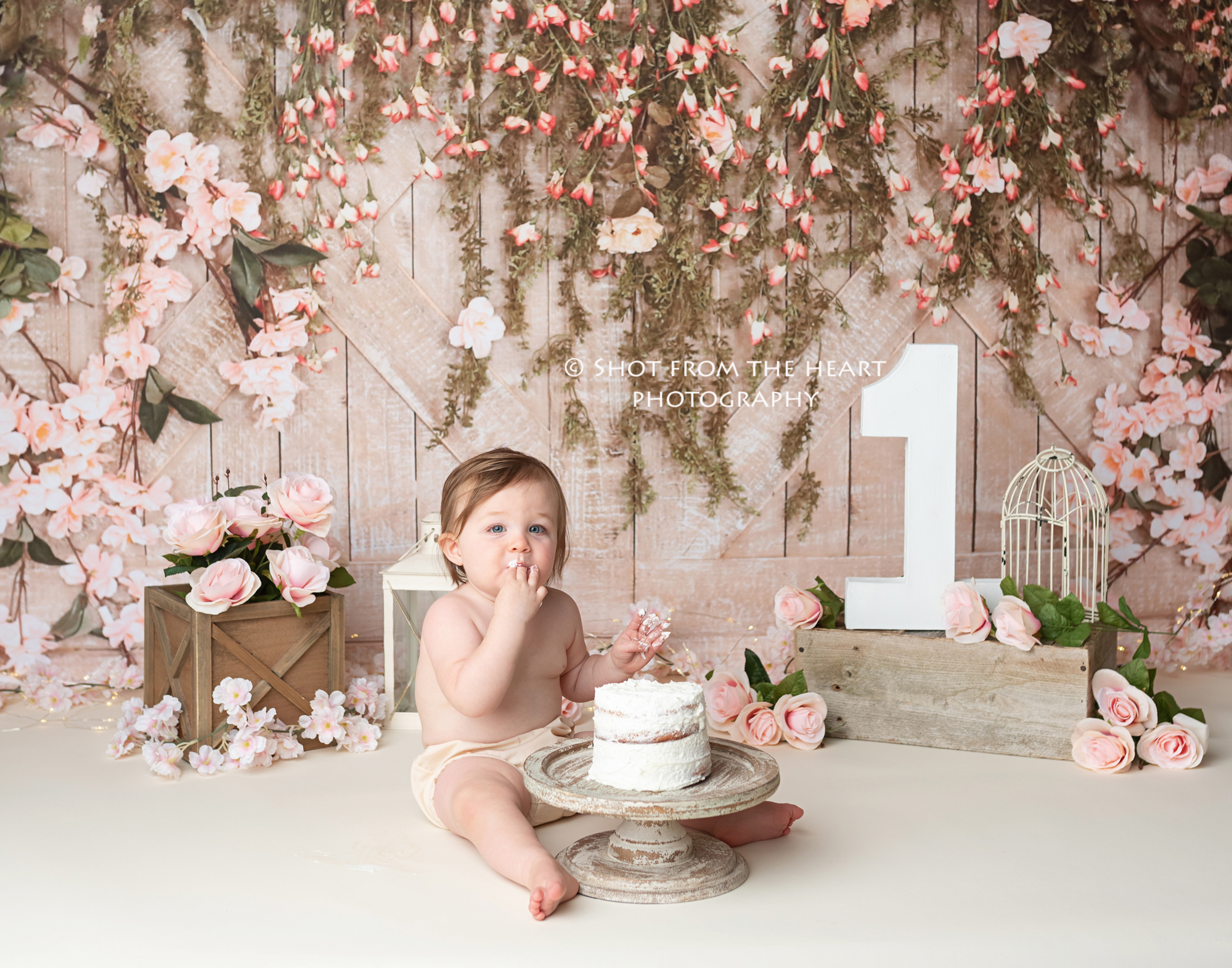 Maternity, Newborn, Baby, and Child Photography | Shot From The Heart