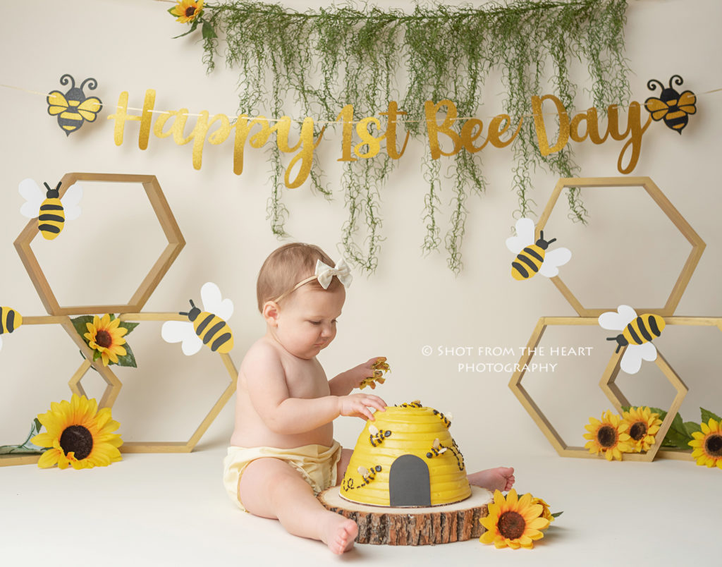 happy first bee day cake smash