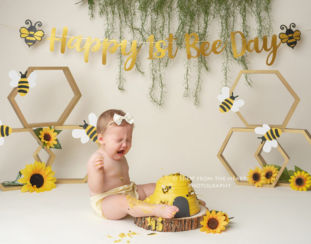 happy first bee day cake smash baby crying
