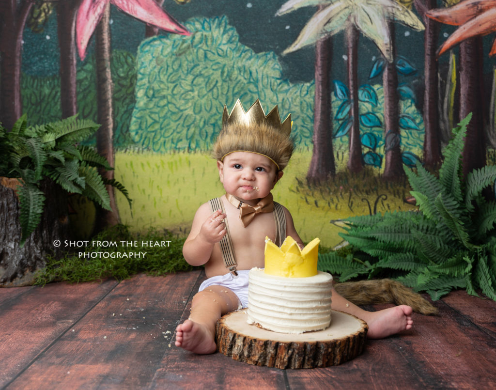 where the wild things are first birthday