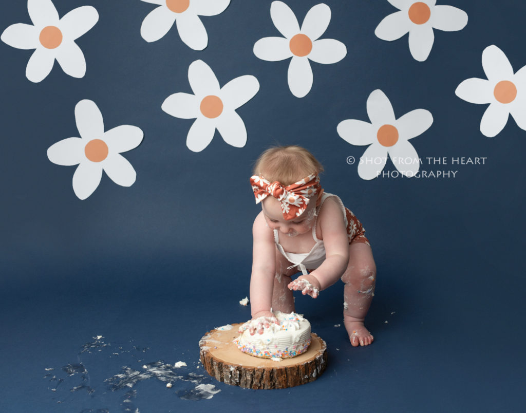 baby smash birthday cake photography